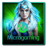 MICROGAMING